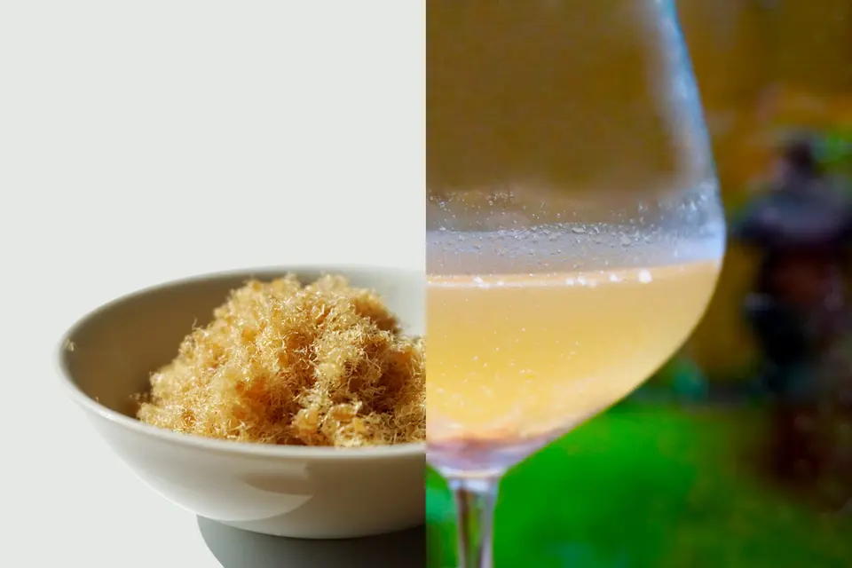 魅惑の食材（綿そぼろ鯛・すっぽんスープ）_0