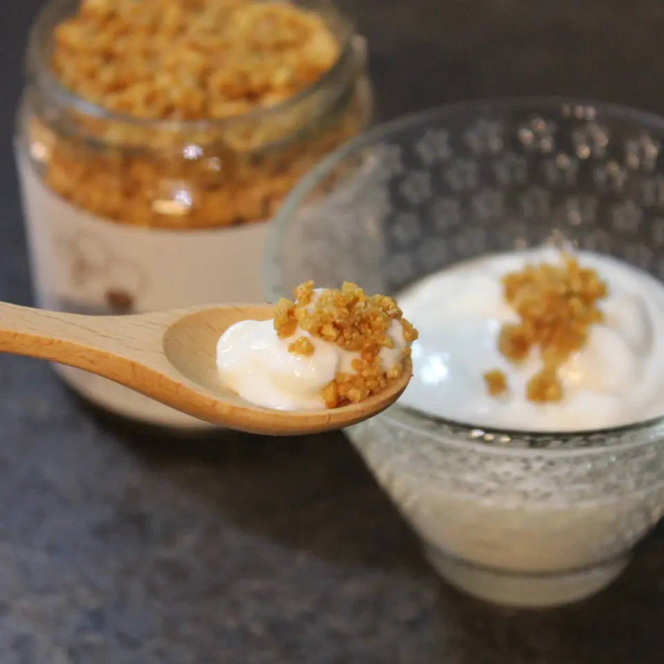 クランチ＋ココナッツオイル（大豆蜂蜜漬けクランチ） 1個_0