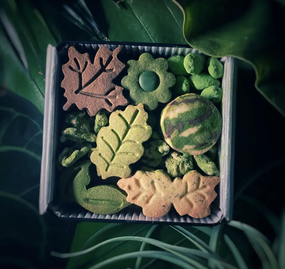 ボタニカルクッキー缶_0