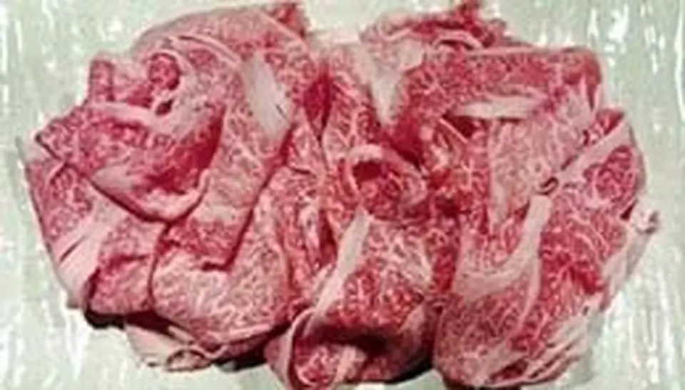 A5黒毛和牛切り落とし1kg ボリュームセット_0