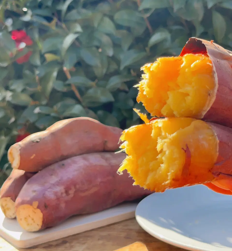 鹿島焼芋　純 1.5kg_0