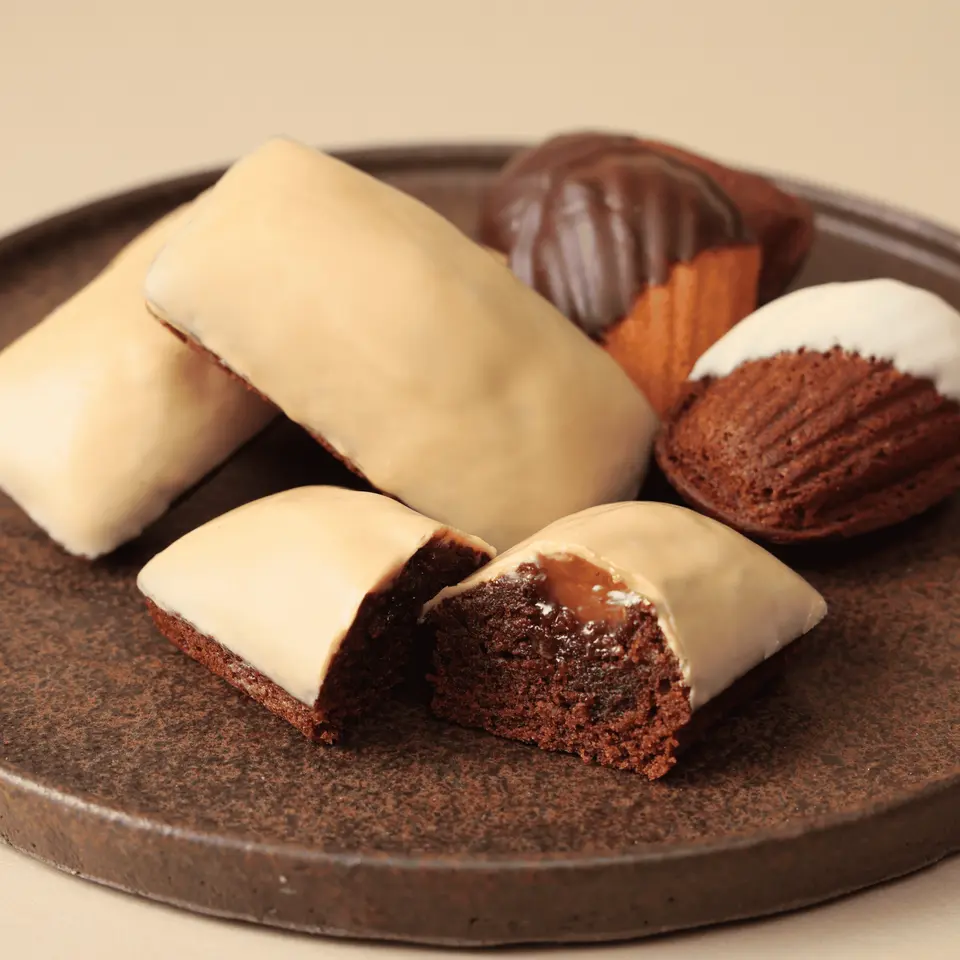 ショコラマドレーヌ・フィナンシェブロンドアソート10個セット_0