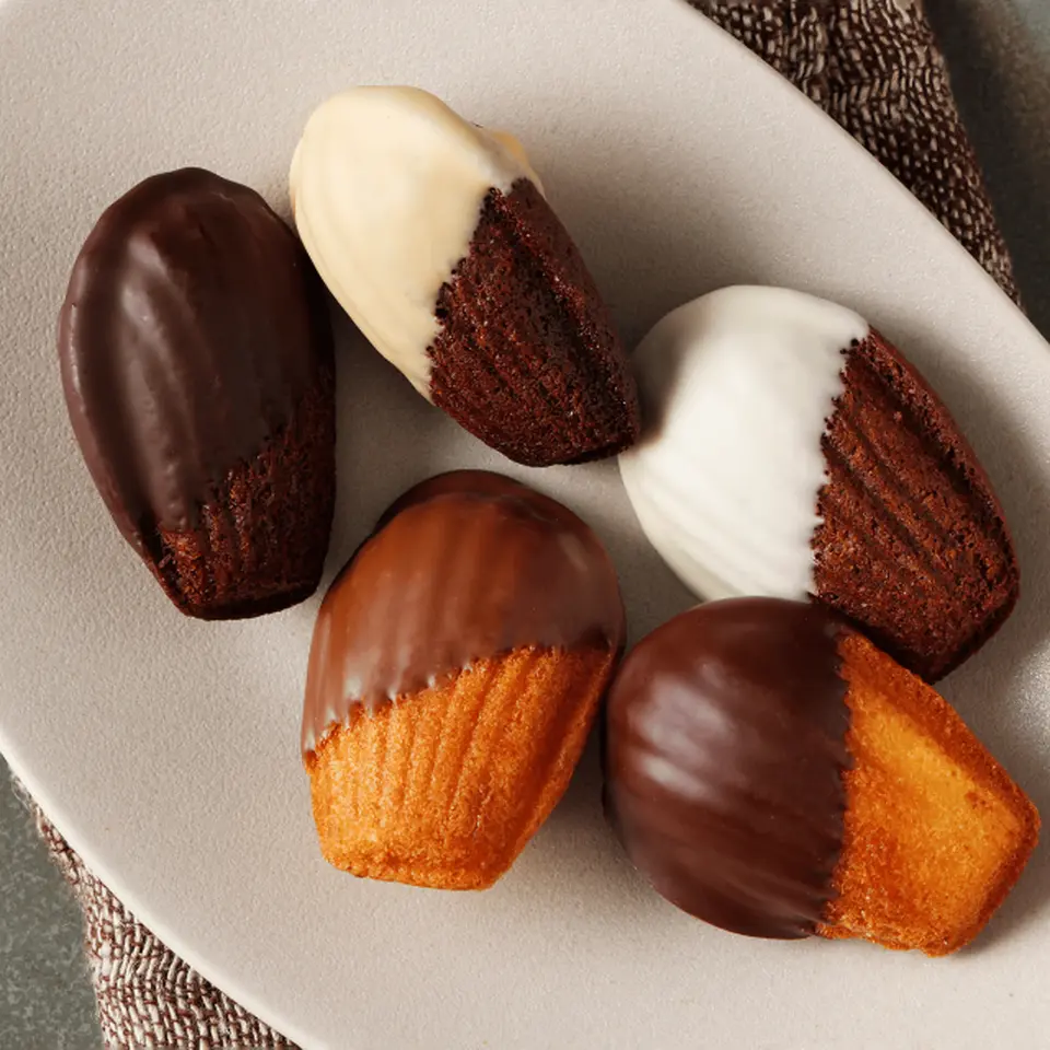 ショコラマドレーヌ・フィナンシェブロンドアソート10個セット_3