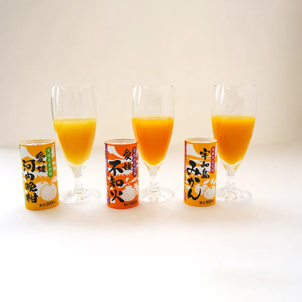 えひめ逸品「愛媛県産柑橘ジュース 飲み比べギフトセット 12本」のお