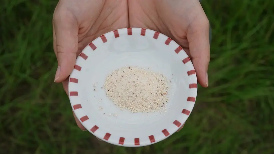 フルーツ酒粕パウダー「りんご」_0