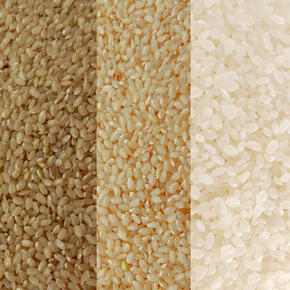 選べる便利で美味しい九州のお米（2kg）_1