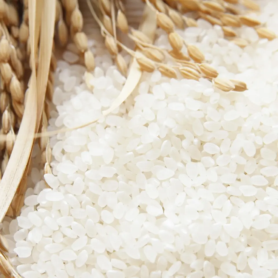 選べる便利で美味しい九州のお米（2kg）_0