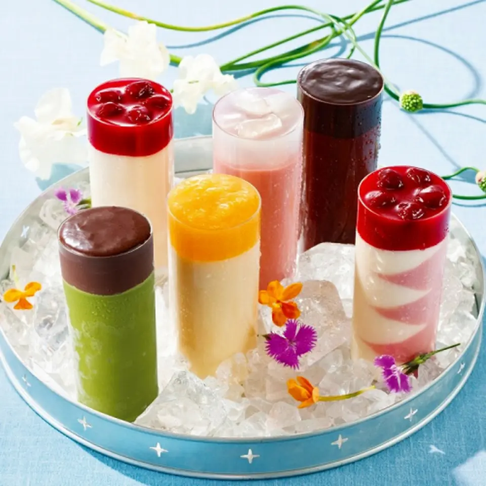 スノーラ・フローズンヨーグルト・レギュラー6本セット_0