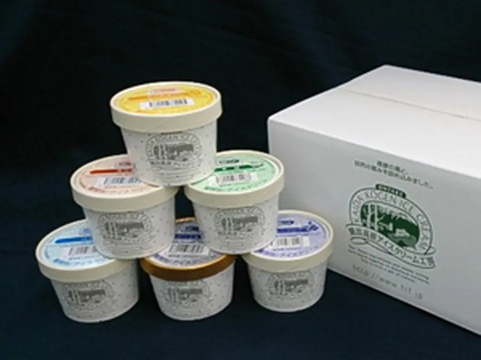 アイスクリームセット 6個_0