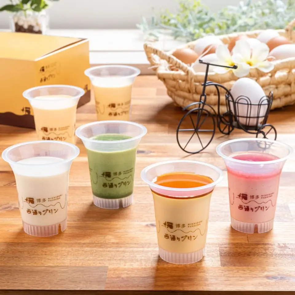 プリンセット NP-30_0