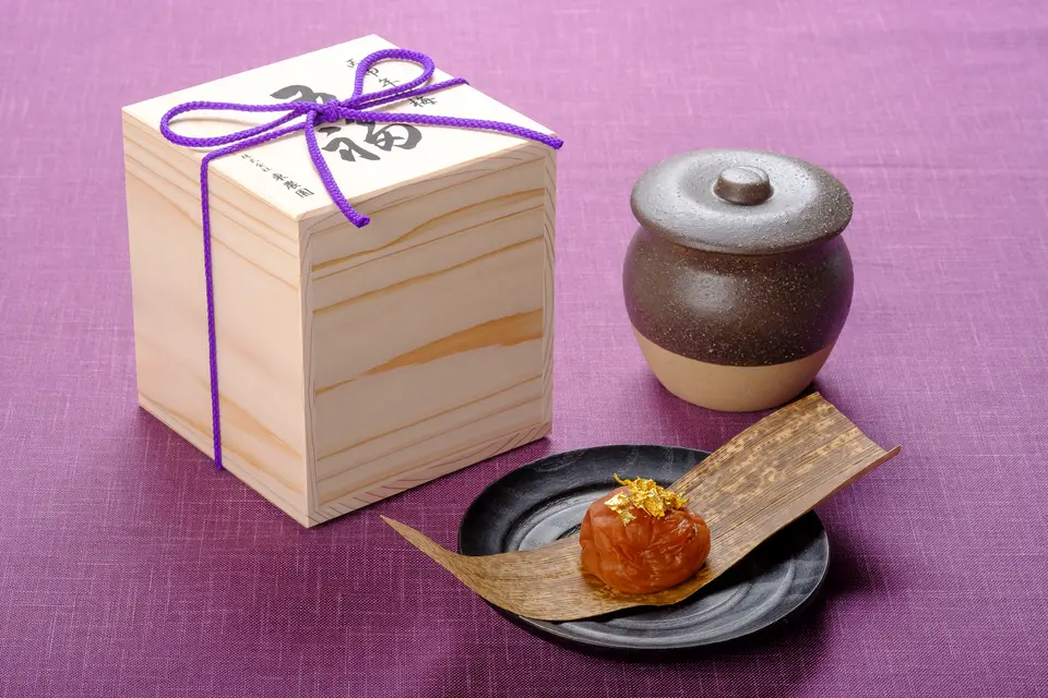 甲申年の梅五福 １粒_0