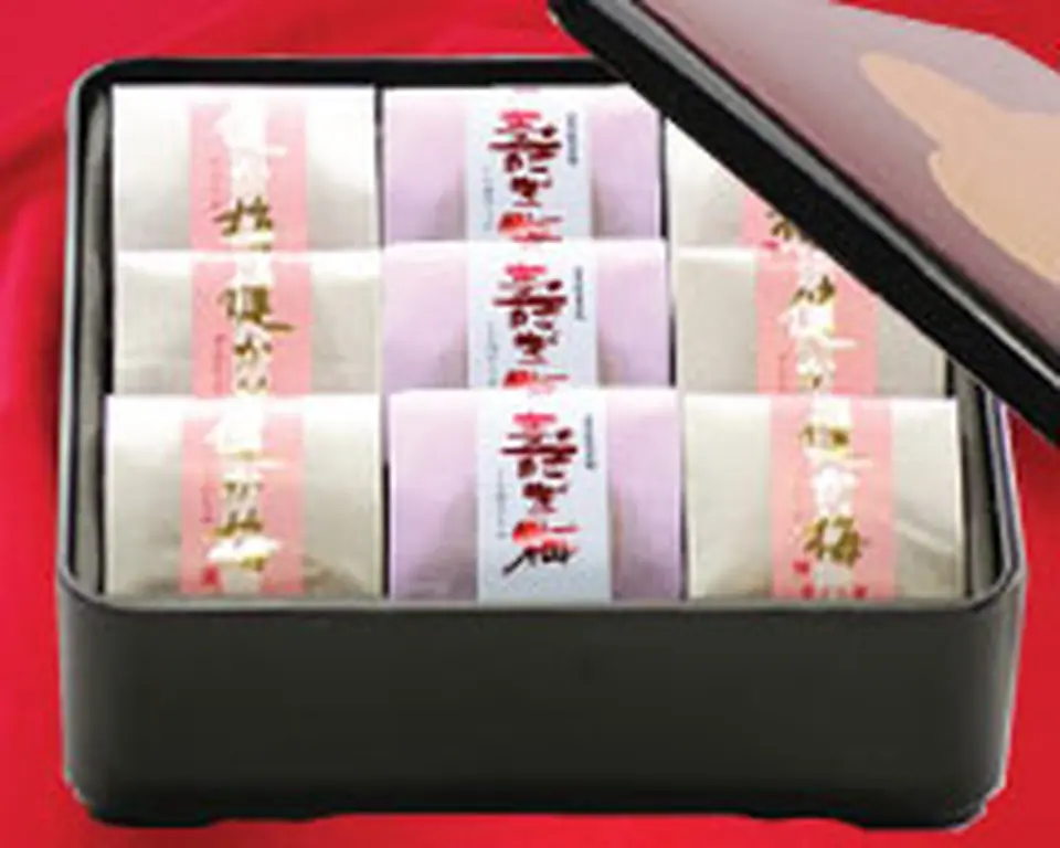 紀州の長寿梅 「健か梅」「寿ぎ梅」一段重_0