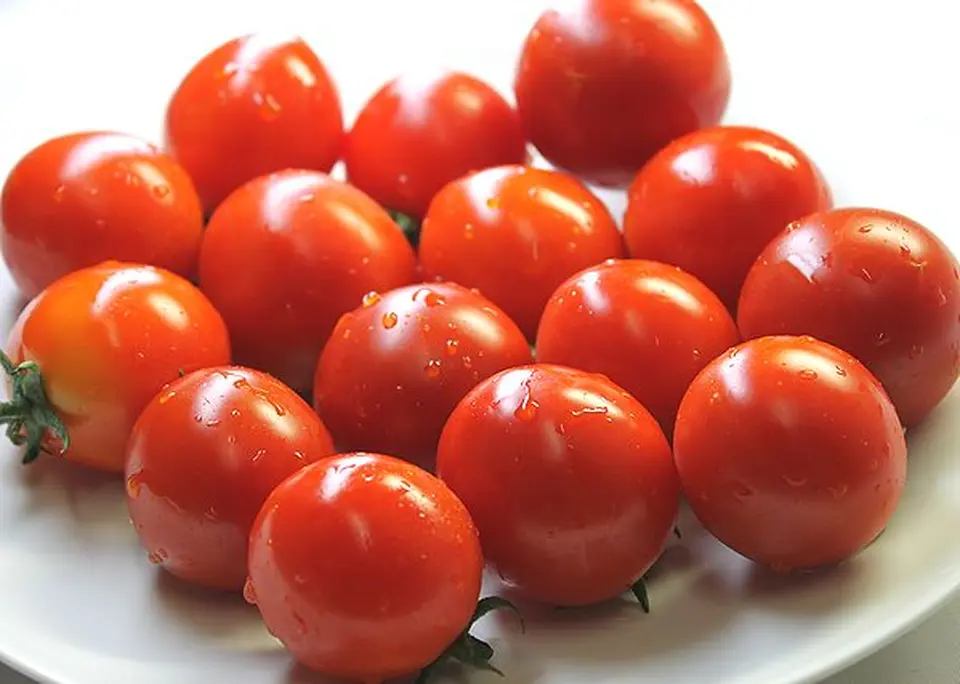 富良野産　フルーツトマト1kg_0