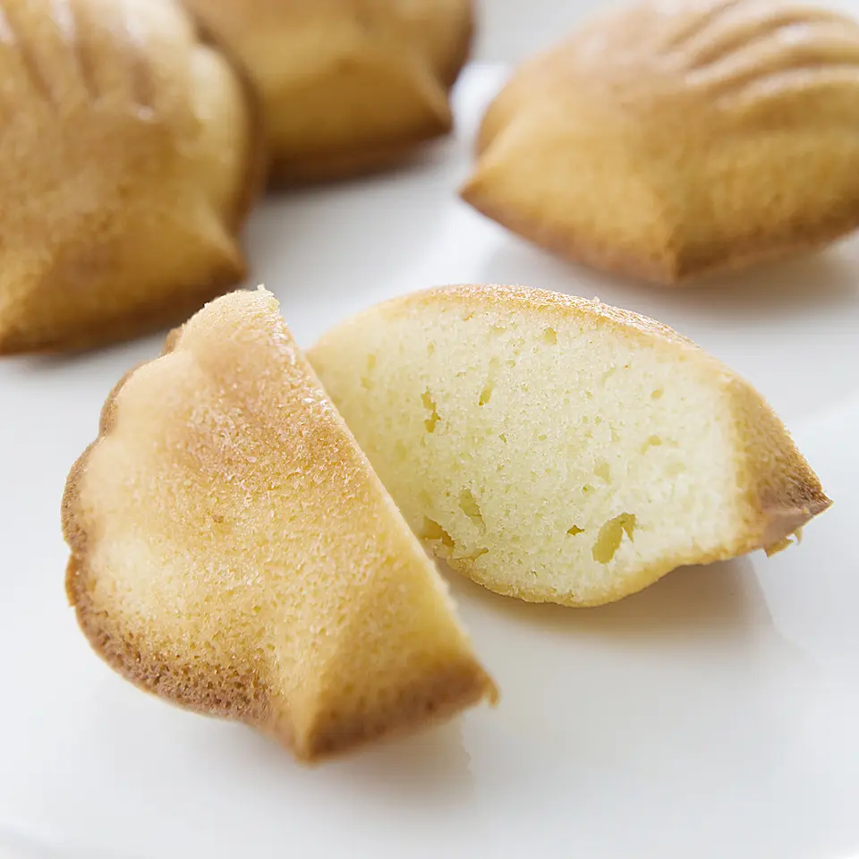 シェル・レーヌ プレーン 10個入り_0