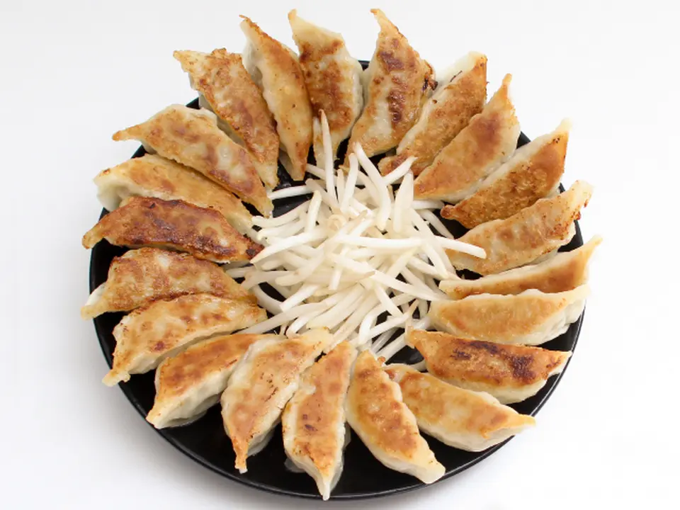 遠州発！餃子100個セット（ご当地餃子20個入り×5パック）_0