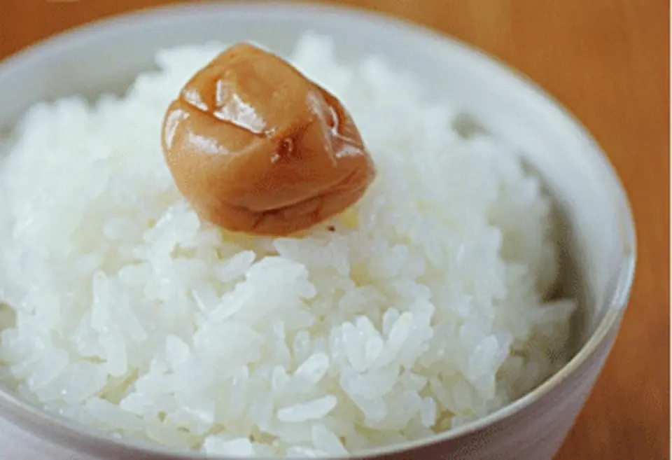 会津がんこ米（福島県産会津産コシヒカリ）　5kg_0