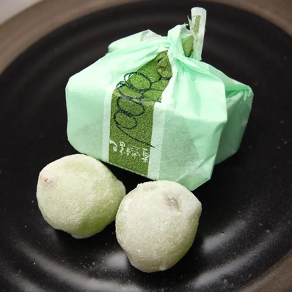 ひとつぶのマスカット10個入_0