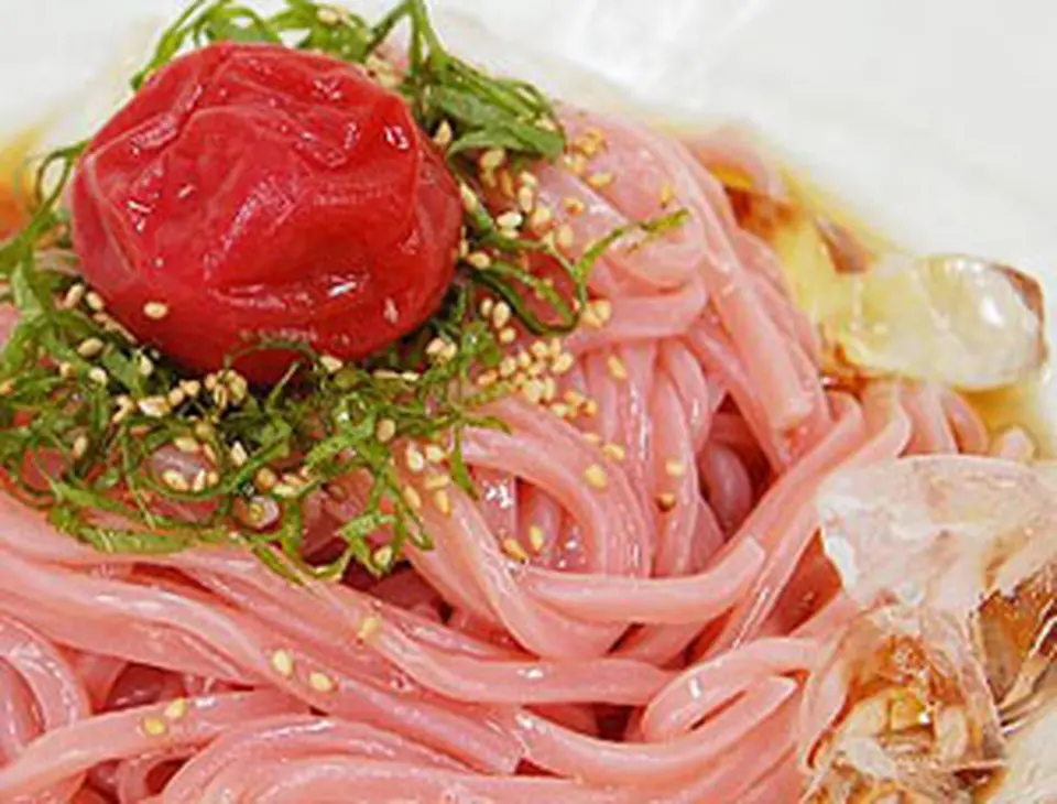 南高梅梅肉入　紀州冷し梅うどん（4食スープ付）_0