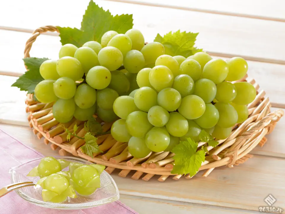 マスカット・オブ・アレキサンドリア2房_0