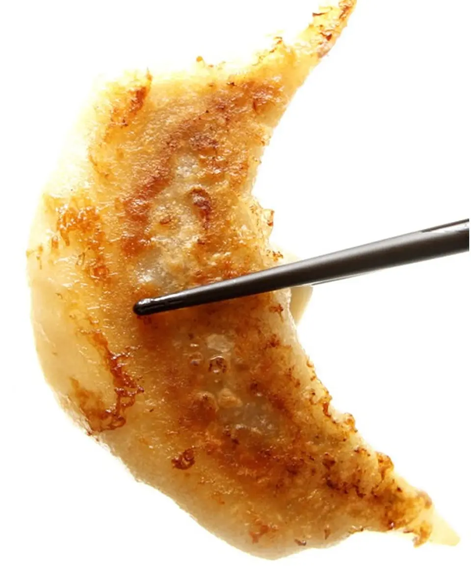 アントン餃子極 1セット(15個入り)_1