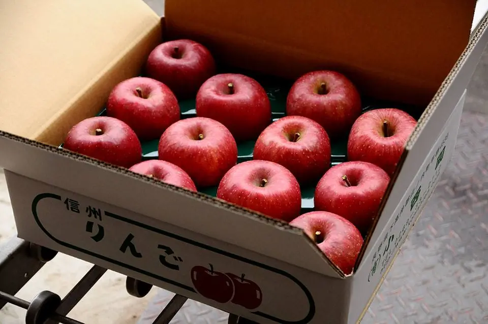 サンふじ　特秀　5ｋｇ_0