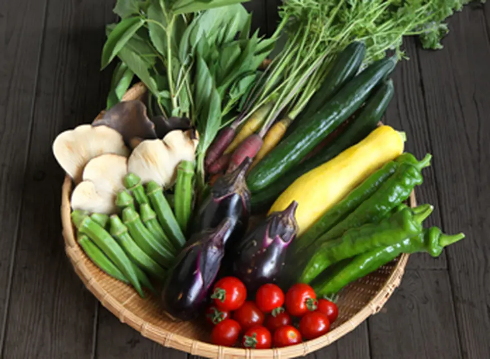 旬のお野菜セット（S）_0