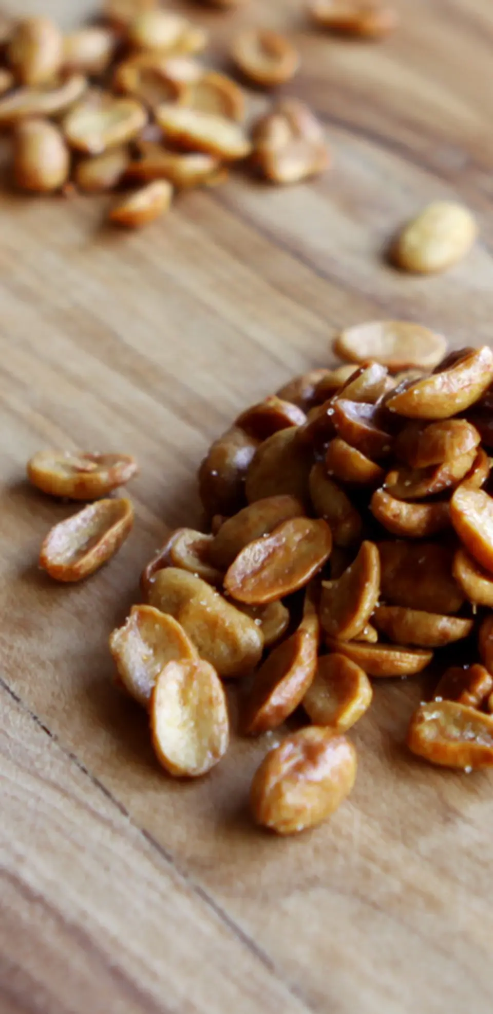 うす塩味のドライ納豆《70g》 _0