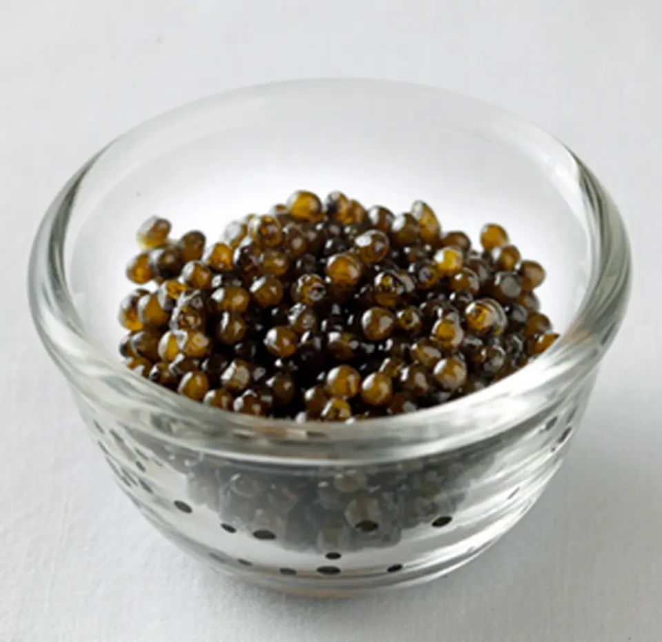 北アルプスの伏流水で育つ国産キャビア「奥飛騨キャビア」奥飛騨ガーデンホテル焼岳_0