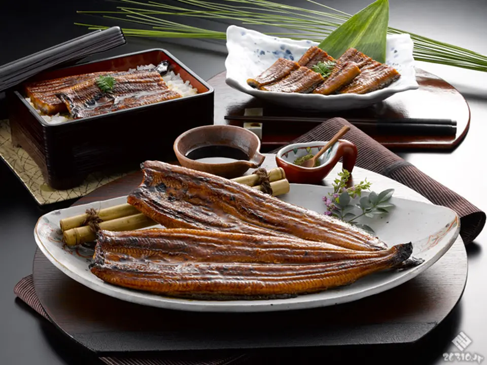 静岡県産！うなぎ蒲焼き -SeishoRoman- 2尾セット_0