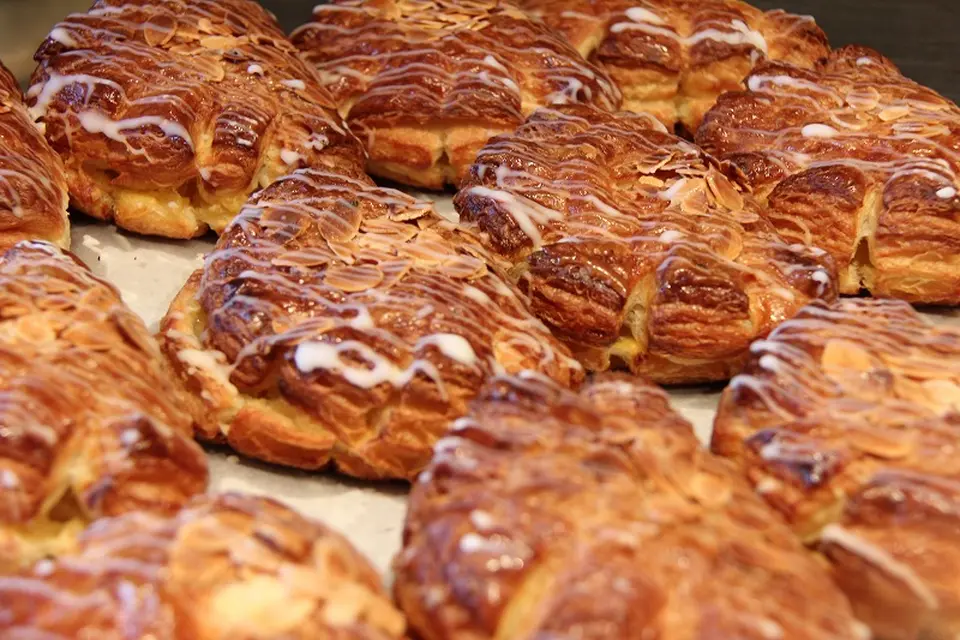 リンゴスター_0