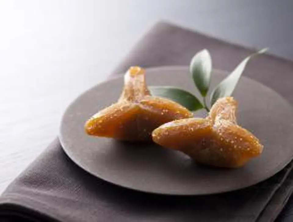 家伝ゆべし　6コ箱入_0