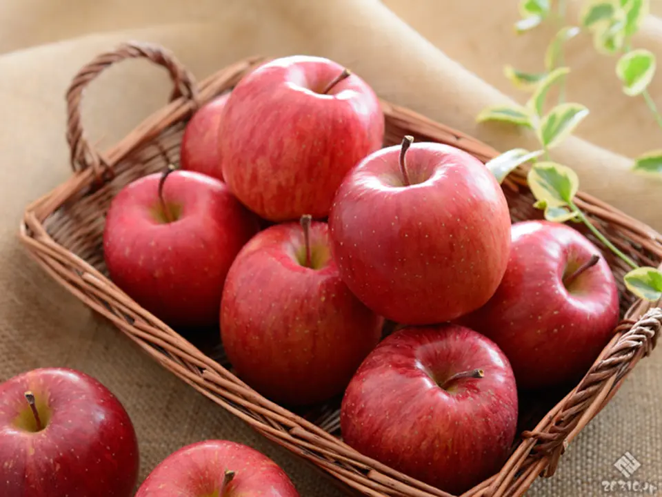 信州安曇野梓川りんご7玉(大玉)_3