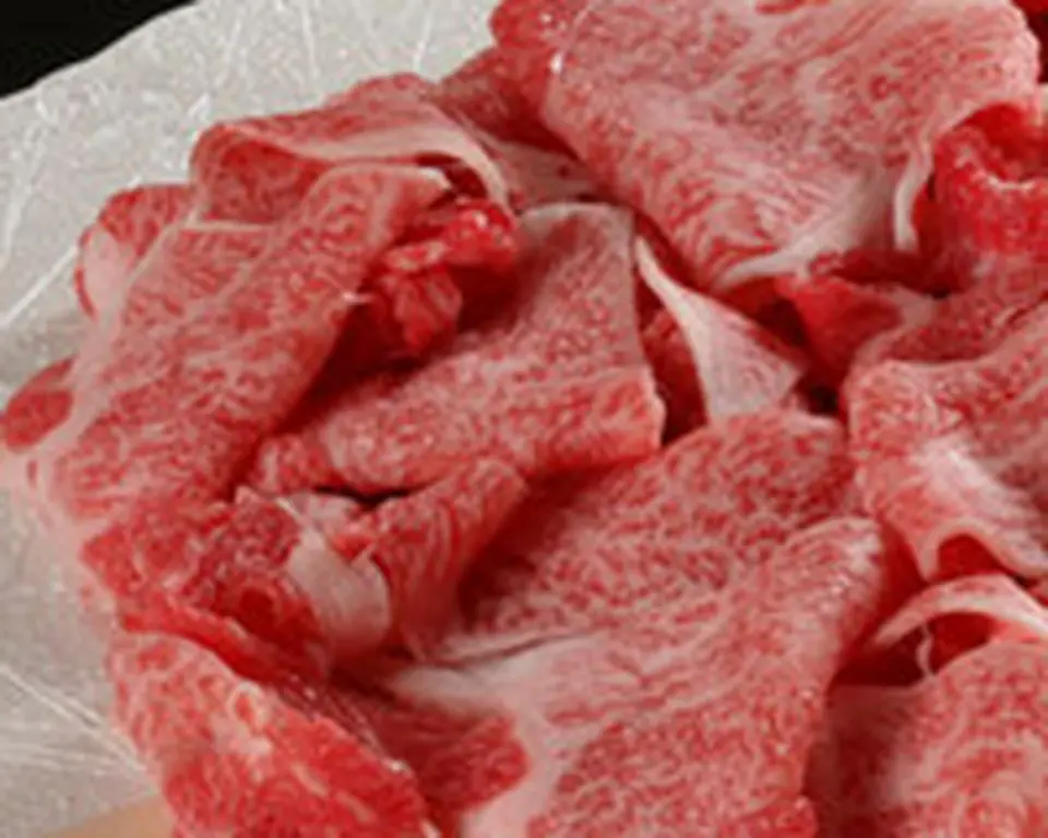 特選松阪牛切り落とし500g_0