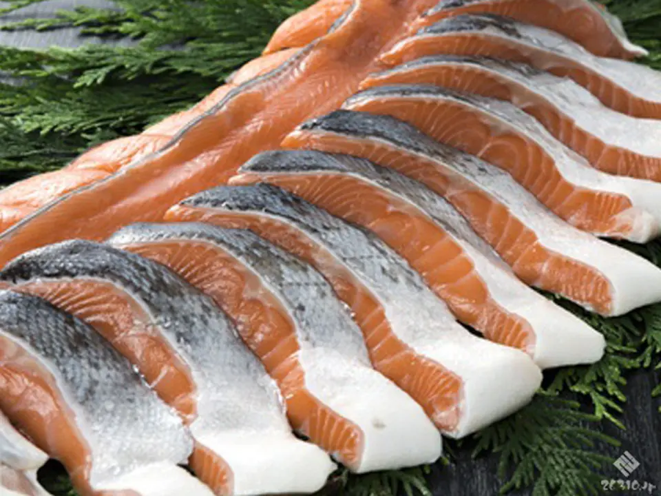 昆布漬け二段仕込み！秋鮭山漬け特大切り身（5切入）_1