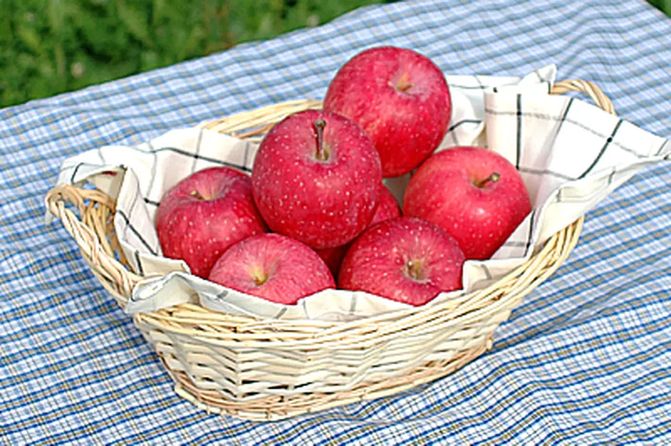 りんごお試しセット_0