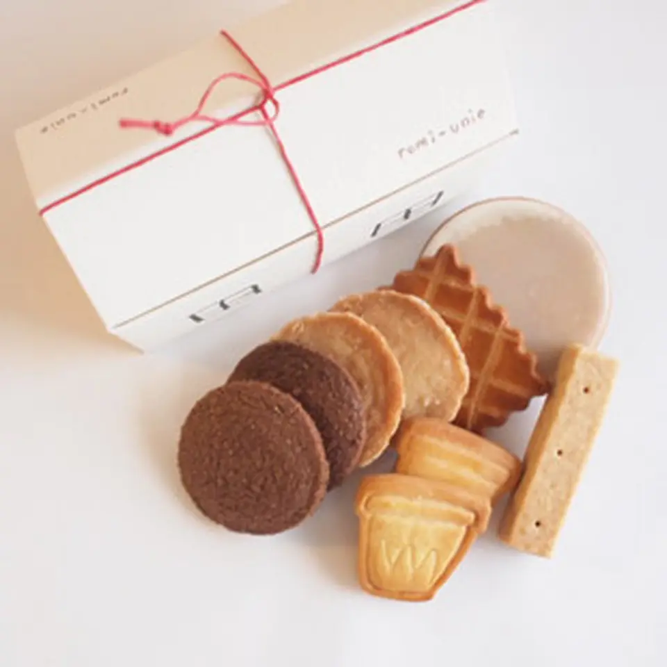 メゾンセット1（アン）_0