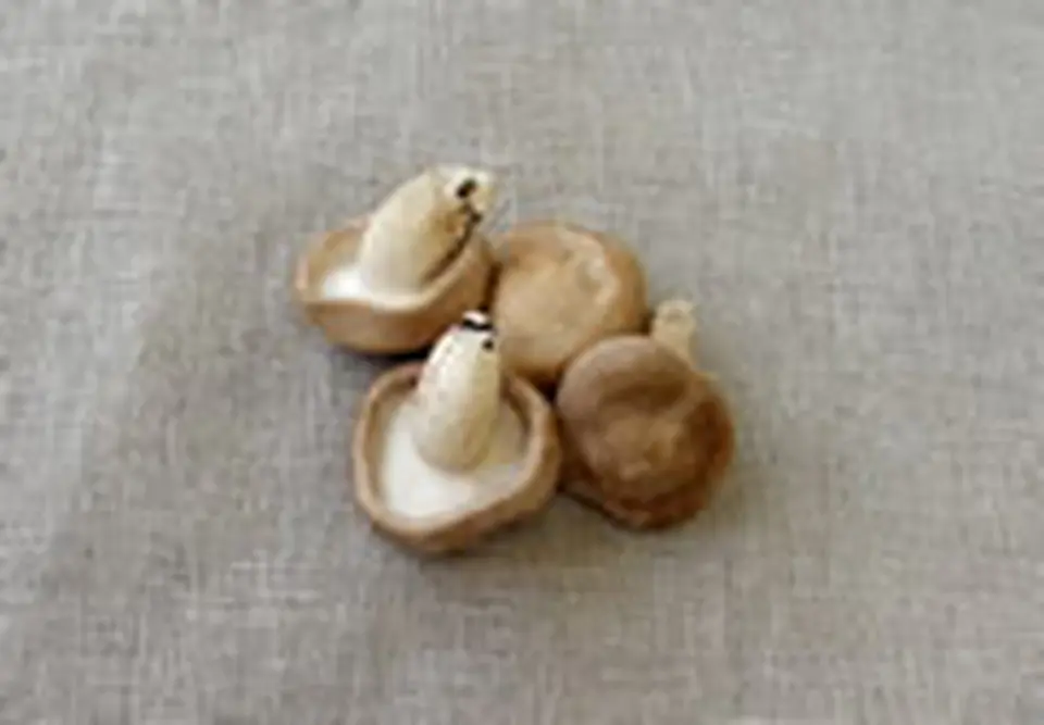 有機JAS認定　岐阜県産　生しいたけ_0