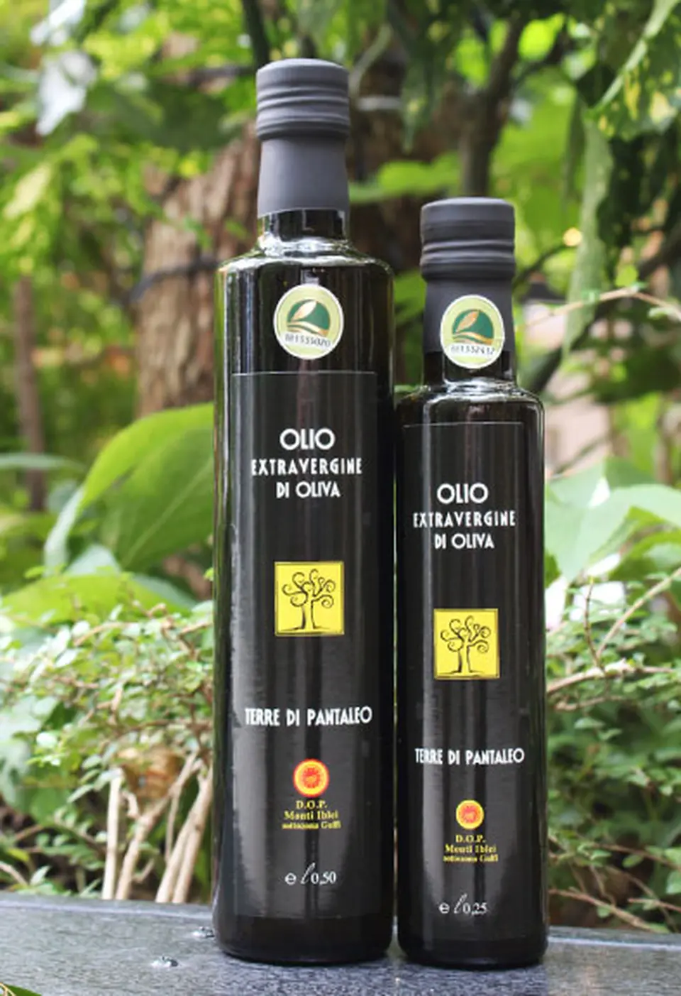 テッレ・ディ・パンタレオ D.O.P_0