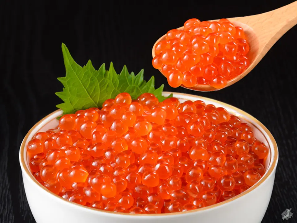 北海道直送！まろやかで深み増す いくら醤油漬 400g_0