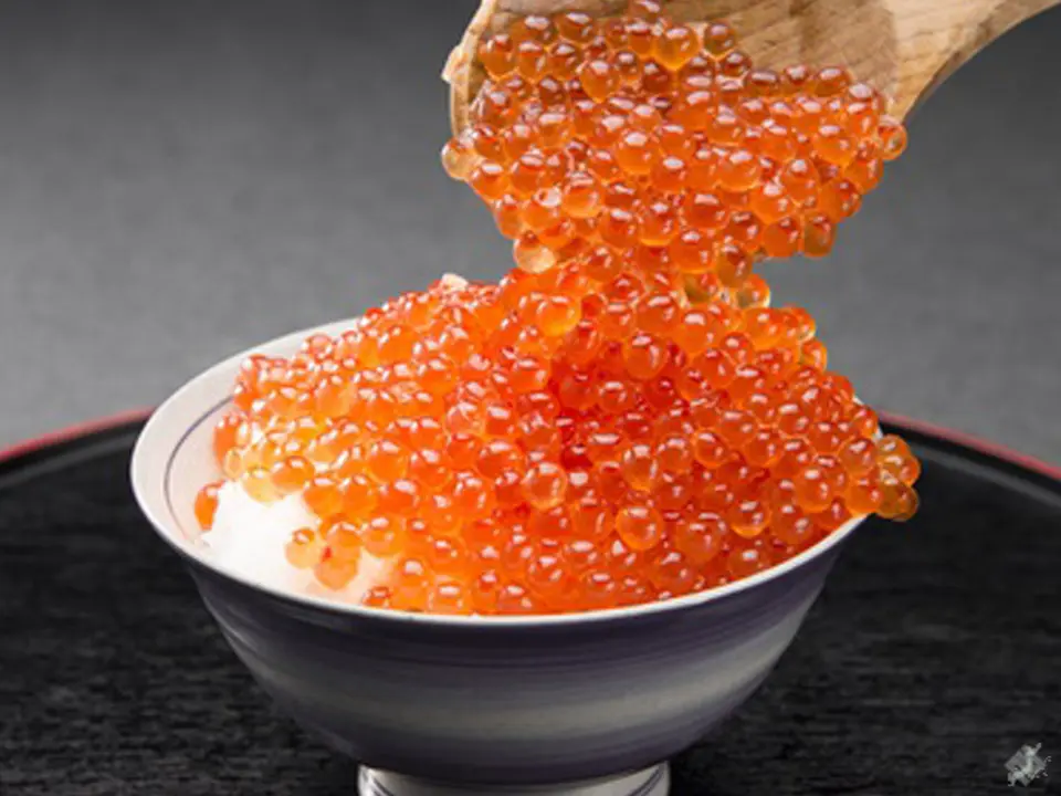 北海道直送！まろやかで深み増す いくら醤油漬 400g_3