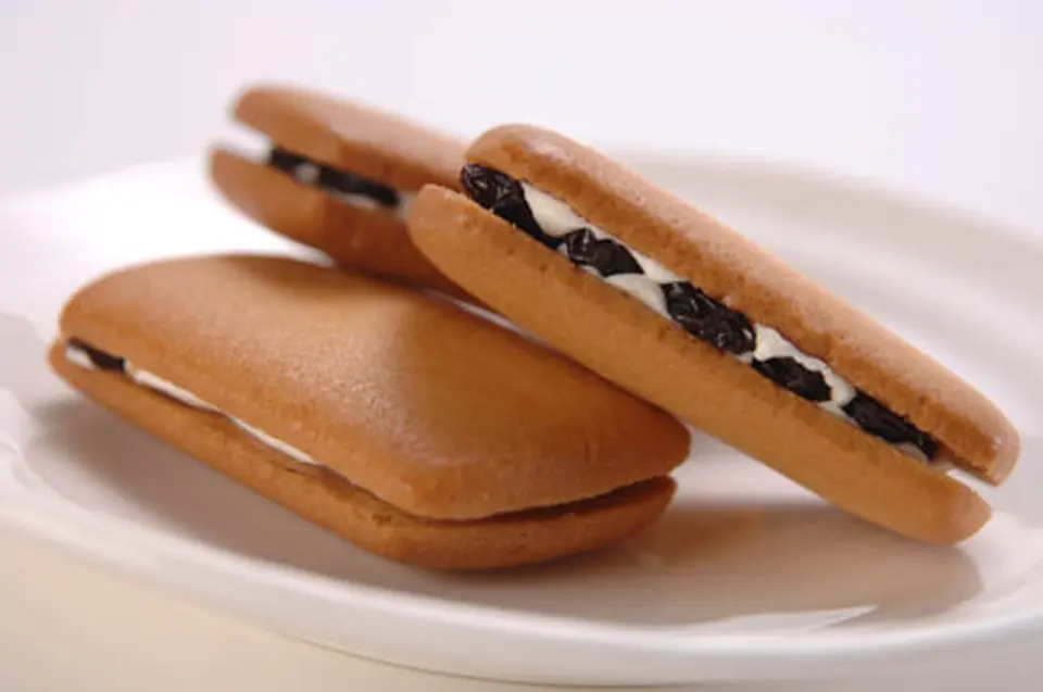 レーズンサンド詰め合わせ10個入り_0