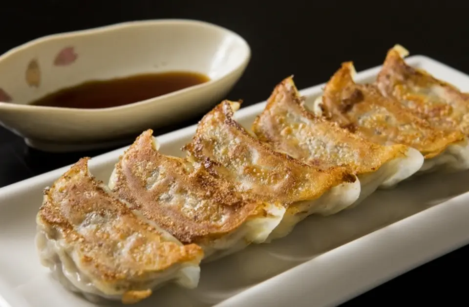 奄美島豚餃子(12個入り)_0