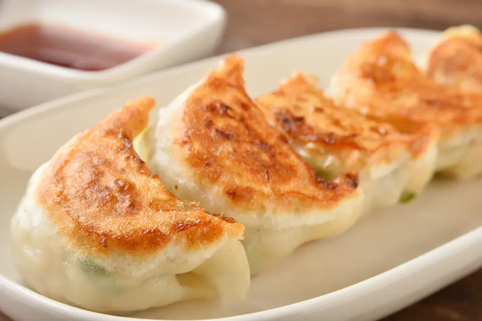 宝永餃子20個入_0