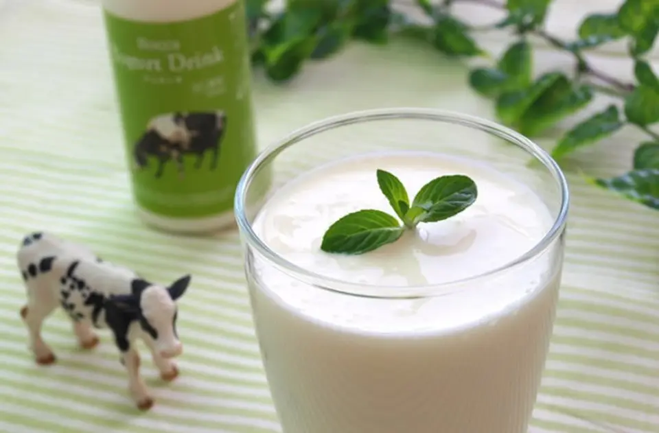 飲むヨーグルトプレーン200g_0