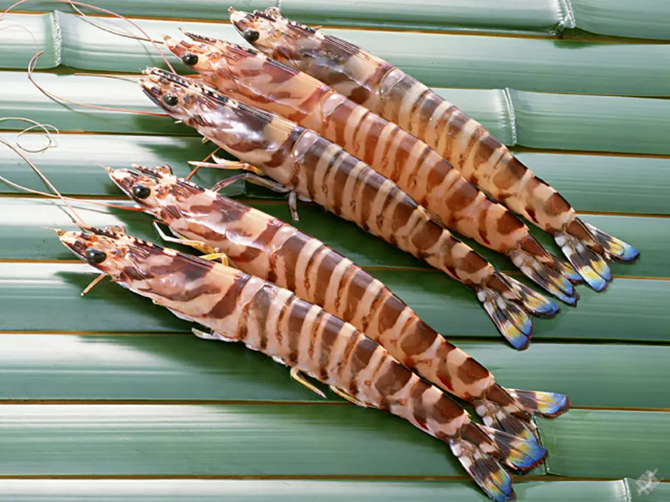 通販専門店ふるさと産直村「大分産!車海老しゃぶしゃぶセット＜3～4