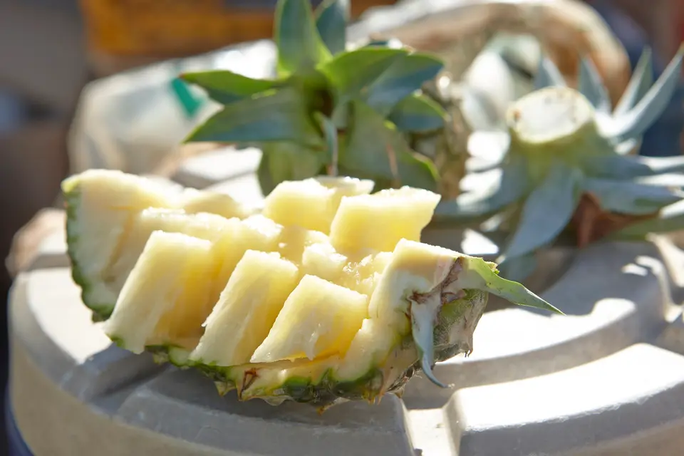 石垣島産 有機パイナップル・ハワイ種 約2.8kg（2～4玉）_3