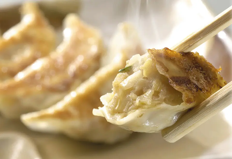 浜松餃子 14個入り_0