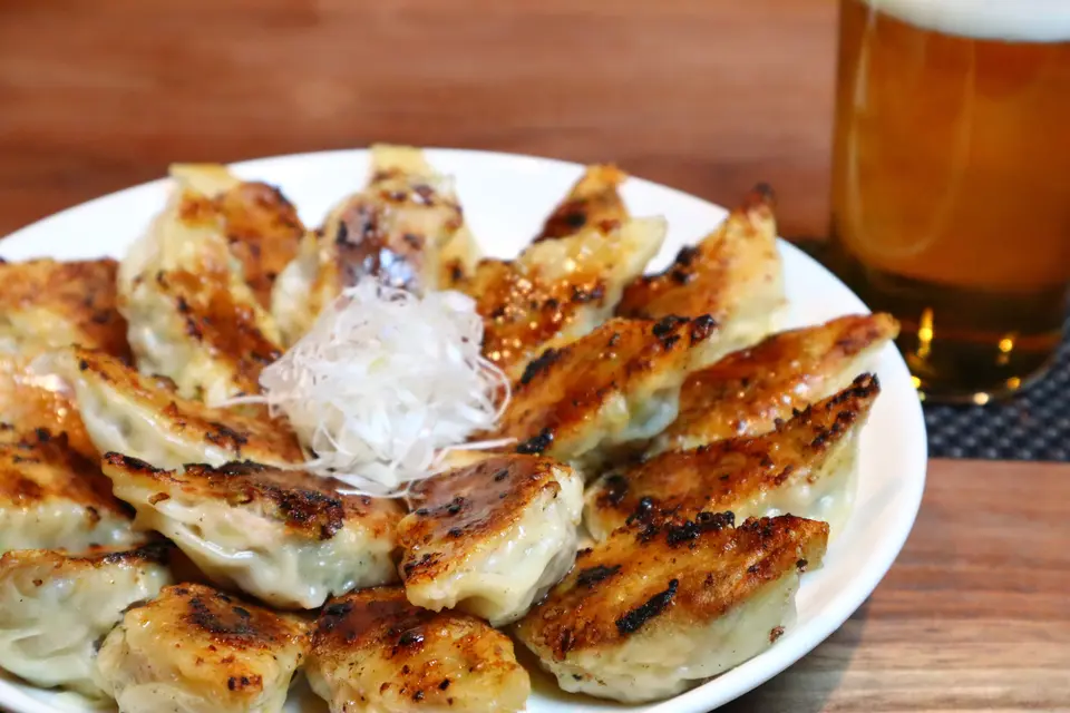 パンパン餃子 30個入り_0