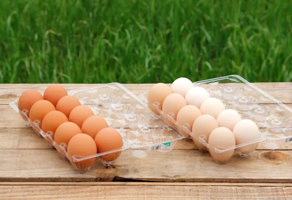 たまごお取り寄せセット_0