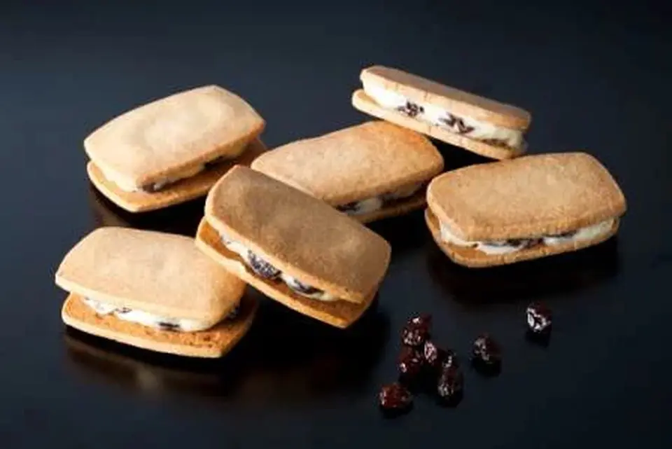 北海道レーズンバターサンド（6個入）×1箱_0